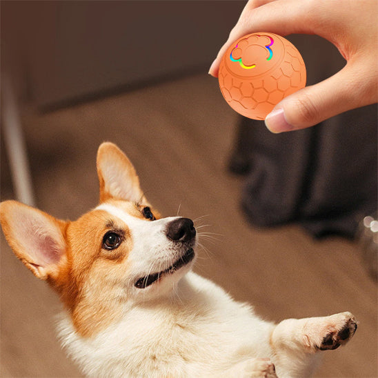 jouet anti stress pour chien orange