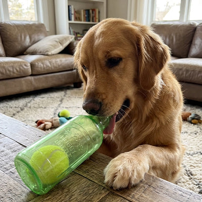 jouet bouteille pour chien qui supporte les mâchoires puissantes de l'animal