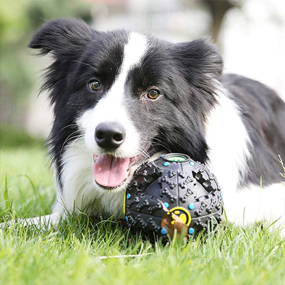 jouet cache croquette pour chien qui construit votre complicité