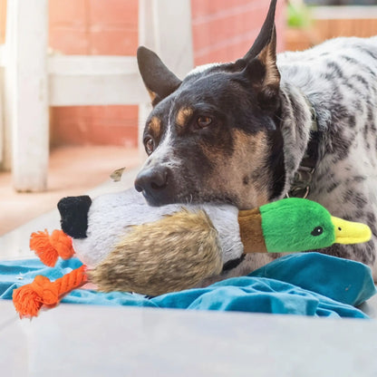 Jouet Canard Pour Chien | Ultra-résistant - Excursion Chien