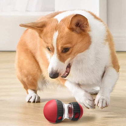 jouet casse tete pour chien qui réduit l'ennui chez votre compagnon