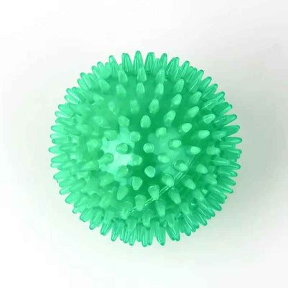 Jouet Chien Balle | TPR Sonore