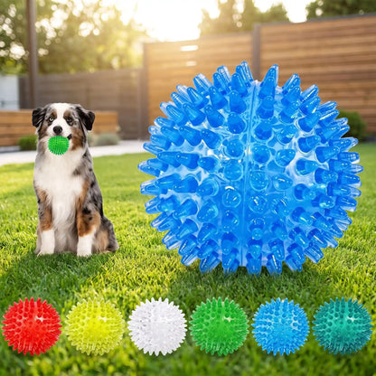 Jouet Chien Balle | TPR Sonore