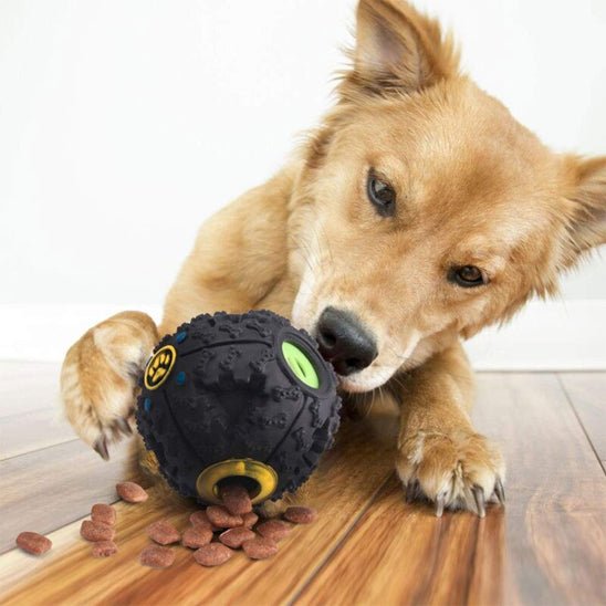 Jouet chien distributeur de croquette | Intelligent - Excursion Chien