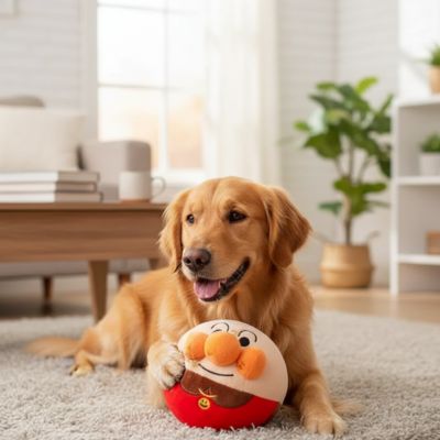 jouet chiot | Balle Musicale Interactive - Excursion Chien