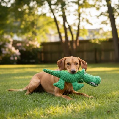 jouet crocodile pour chien qui stimule l'instinct naturel de votre animal