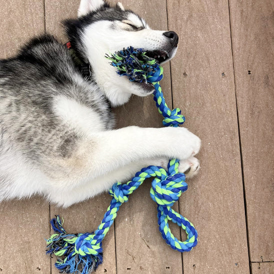 jouet grand chien en corde tressée