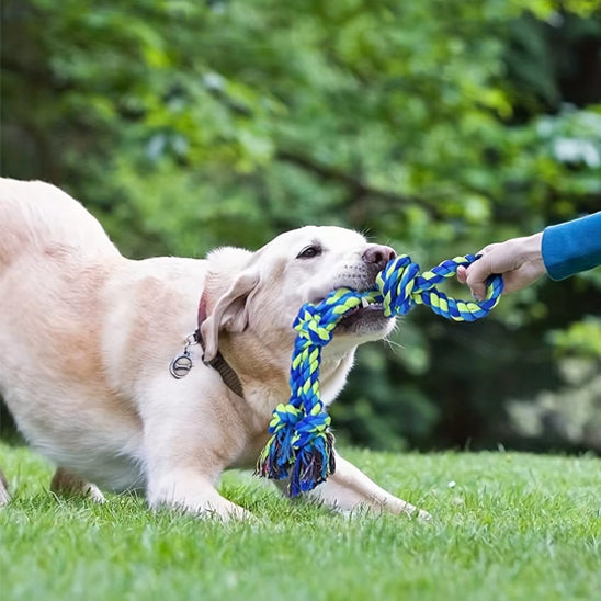 jouet grand chien ultra résistant