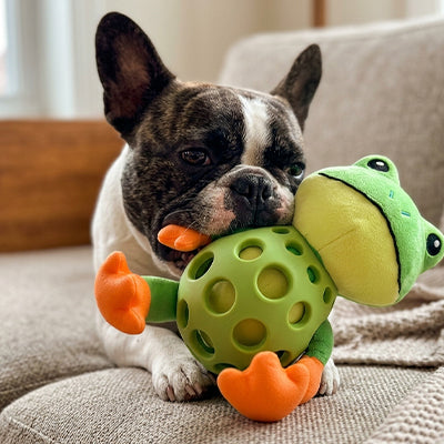 jouet grenouille pour chien en tissu renforcé avec structure à trous permettant une bonne prise en gueule et résistance aux morsures