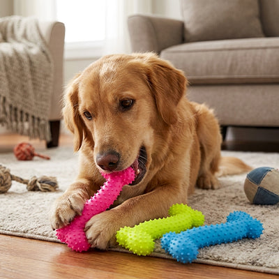 jouet indestructible pour chien destructeur qui prend soin des dents de votre animal