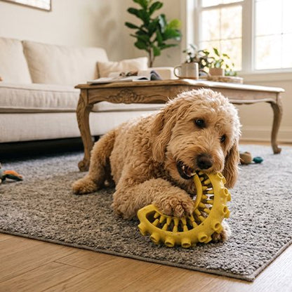 Jouet indestructible pour Chien qui contribue au nettoyage des dents et à l'hygiène bucco-dentaire pendant le jeu