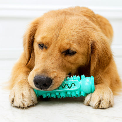jouet occupation chien en Orifice traversant pour cacher friandises et croquettes