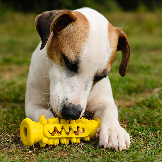 jouet occupation chien en forme tubulaire dentelé