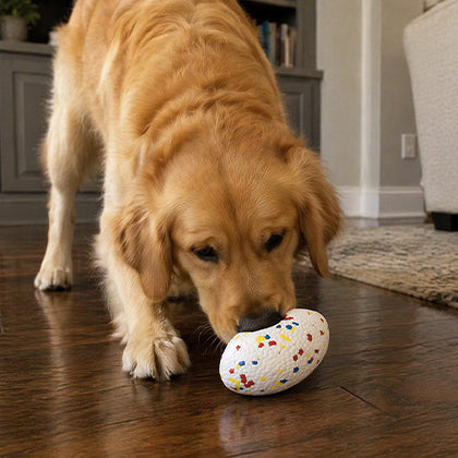 jouet oeuf pour chien ultra-moelleux qui prend soin des gencives du chien