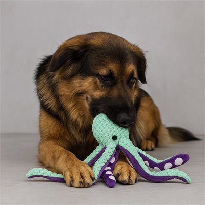 Jouet peluche pour chien | Pieuvre ultra - résistant - Excursion Chien