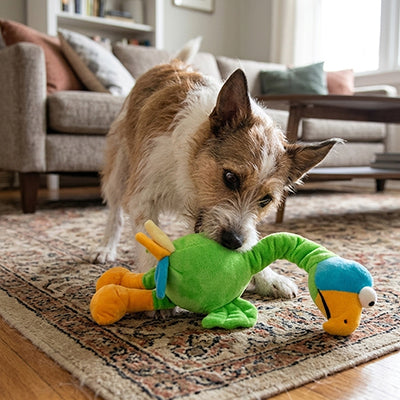 jouet peluche pour chien qui résiste aux morsures