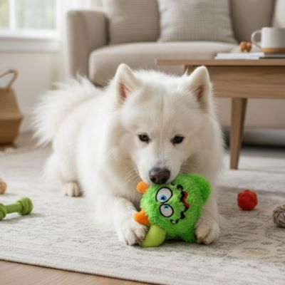 jouet-peluche-pour-chien-qui-résiste-aux-mâchouillements-répété 