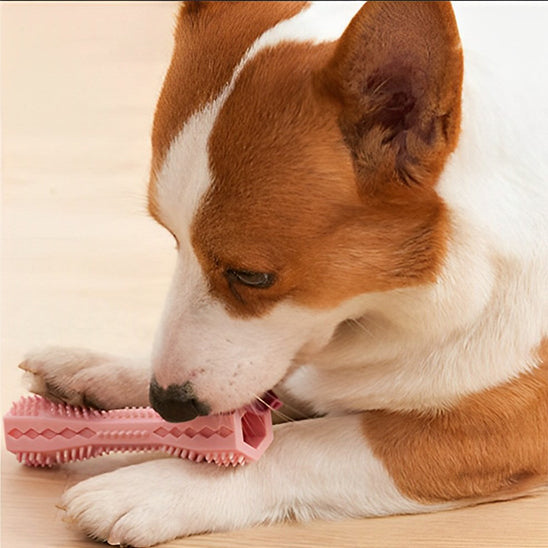 jouet pour chien a macher en silicone doux qui prend soin des gencives de l'animal