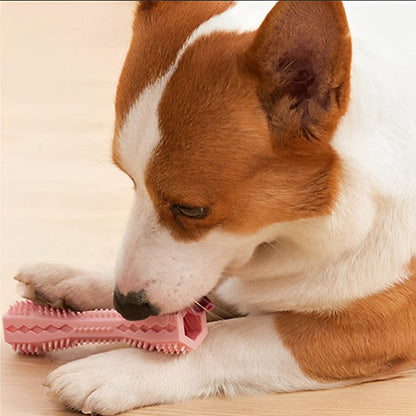 jouet pour chien a macher en silicone doux qui prend soin des gencives de l'animal