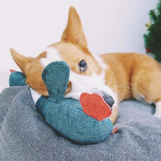 jouet pour chien canard moelleux qui apaise votre animal