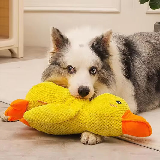 jouet pour chien canard qui apaise votre compagnon