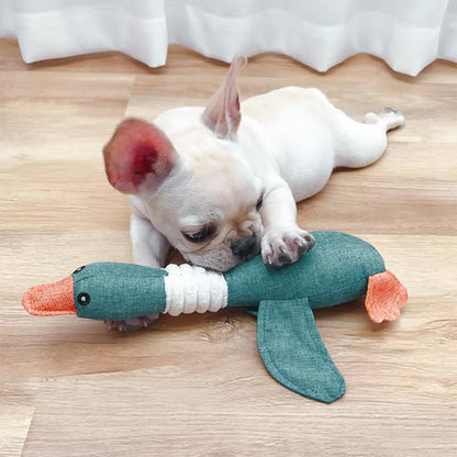 jouet pour chien canard qui résiste aux mâchoires les plus énergiques des chiens