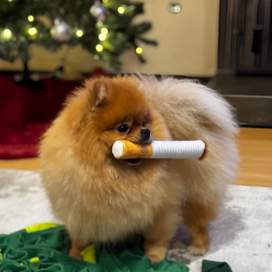 jouet pour chien cigarette qui stimule votre compagnon