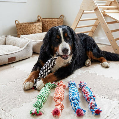 jouet pour chien en corde en Matériau textile robuste tissé en spirale pour résister aux morsures répétées et aux séances de jeu intensives