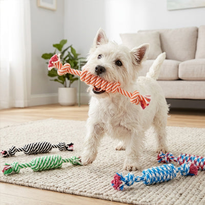 jouet pour chien en corde qui renforce vos liens