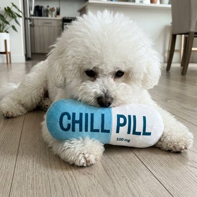 Jouet pour chien​ en forme de capsule médicament
