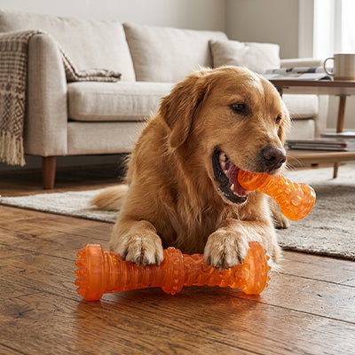 jouet pour chien indestructible qui prend soin de la santé dentaire du chien