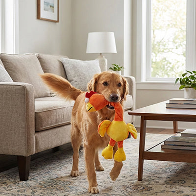 jouet pour chien poulet résistant qui capte l'attention de votre fidèle compagnon