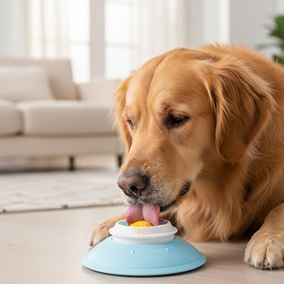 jouet pour chien seul stable sur tous vos sols