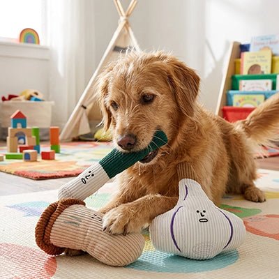 Jouet pour dents chiot | Résistant et couineur - Excursion Chien