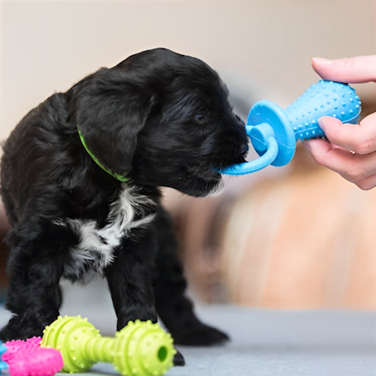jouet tétine pour chien en Forme de tétine design ludique et rassurant qui rappelle une sucette pour bébé, favorise l'attachement du chiot