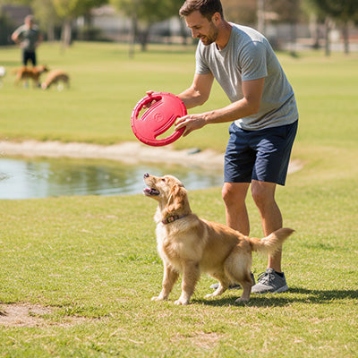 jouet exterieur pour chien | Frisbee Souple Flottant