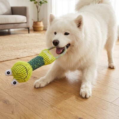 Jouet interactif pour Chien | Velours côtelé résistant - Excursion Chien