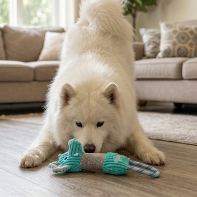 Jouet interactif pour Chien | Velours côtelé résistant - Excursion Chien