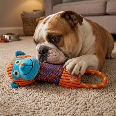 jouets interactifs pour chiens qui créent du lien