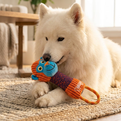 jouets interactifs pour chiens qui durent
