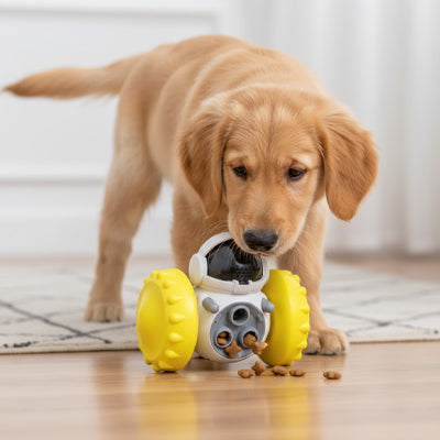 jouets pour chiots interactifs