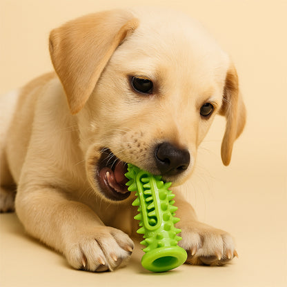 jouets pour chiots 3 mois qui réduit la plaque dentaire 