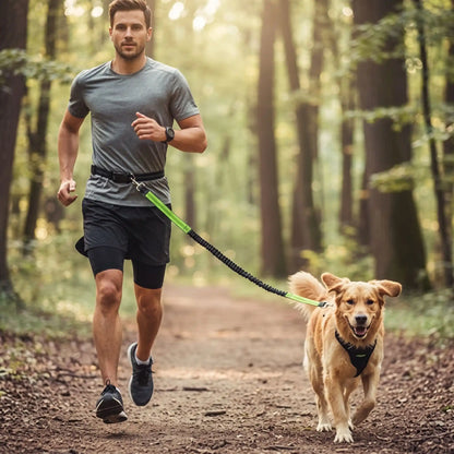 Laisse canicross | Sécurité et Confort - Excursion Chien