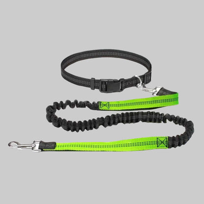 Laisse canicross | Sécurité et Confort - Excursion Chien