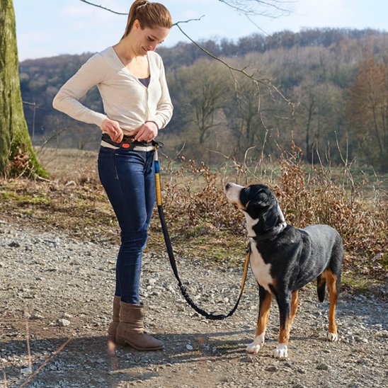 Laisse chien main libre avec longueur ajustable