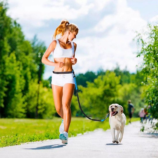 Laisse chien main libre avec port en bandoulière pour libérer les mains lors des promenades ou activités sportives