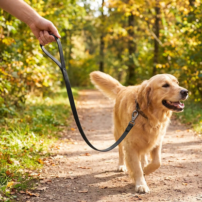Laisse de Chien Noir | Waterproof PVC - Excursion Chien