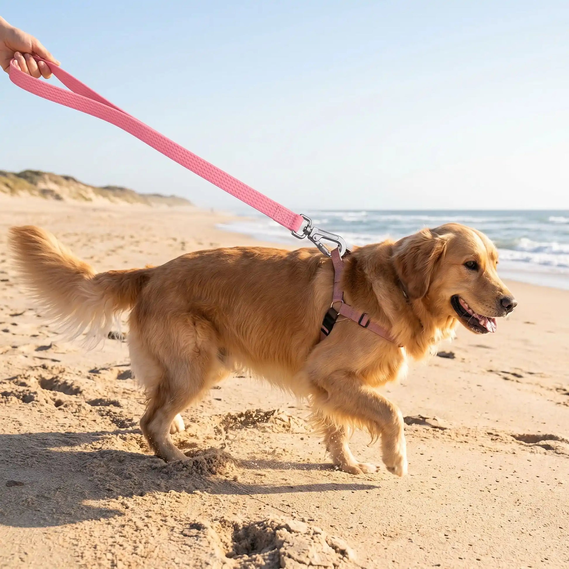 Laisse de Chien Rose | Ultra-résistante - Excursion Chien