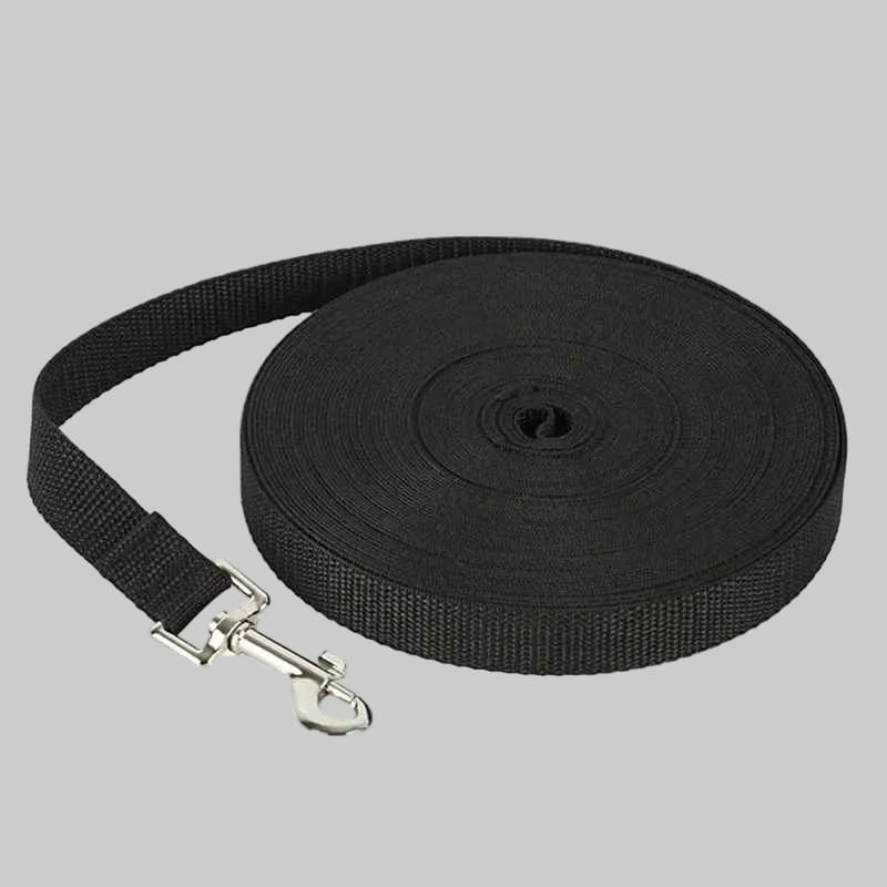 Laisse de Promenade Pour Chien | Extensible 3-15m - Excursion Chien