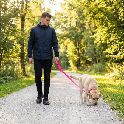 Laisse de Promenade Pour Chien | Extensible 3-15m - Excursion Chien